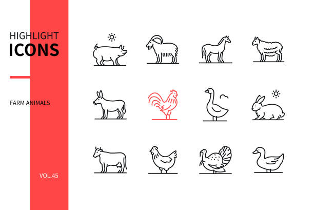 Farm animals collection - line design style icons set Farm animals collection - line design style icons set on white background. Black images of a pig, goat, horse, sheep, donkey, rooster, goose, rabbit, cow, hen, turkey, duck. Agriculture concept livestock stock illustrations