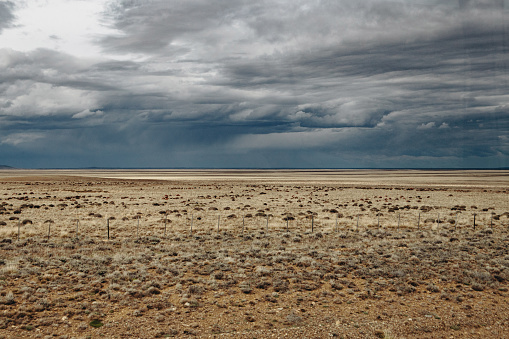 Scenic view of Patagonia prairie with dramatic grey clouds