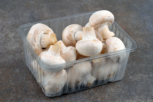 Mushroom plastic tray in close-up on a gray background