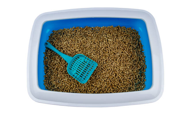 istock Cat's litter box with filler and scoop isolated on white background 1295997949