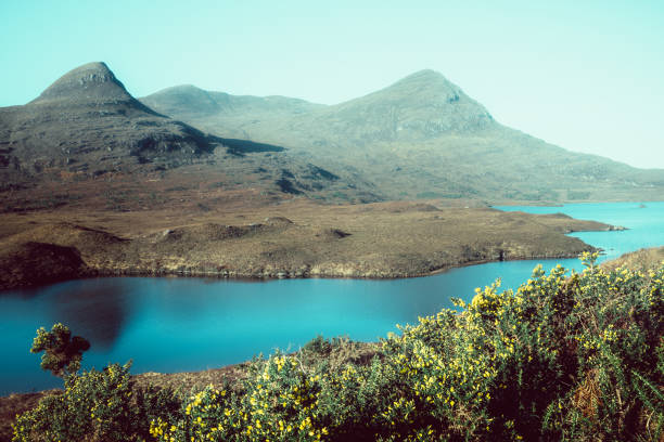 Loch Lurgainn, Coigach, Scotland, looking over a spiky gorse bush towards the pointed top of Cioch Beinn an Eoin and the distant Sgorr Tuath.