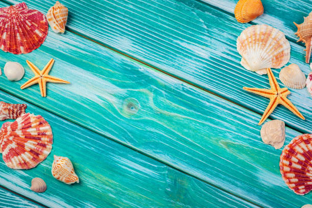 istock Different sea shells on color wooden background 1295999030