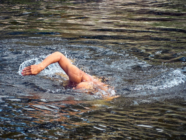 istock Freestyle swimmer on the lake 1295999101