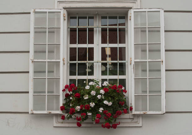 plants and flowers at building, symbiosis of architecture and nature