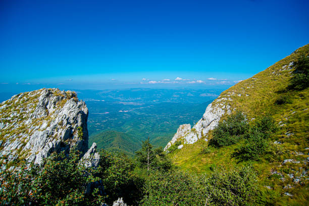 istock Dry Mountain or Suva Planina 1296002471