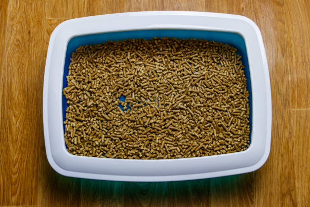 istock Cat's litter box with filler on a floor. Top view 1296004770