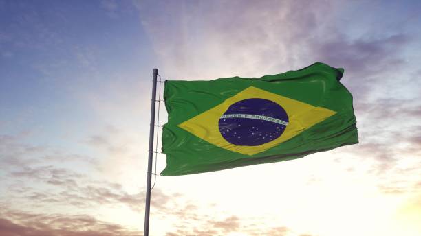 바람에 흔들리는 브라질의 국기. 3d 일러스트레이션 - 브라질 국기 뉴스 사진 이미지