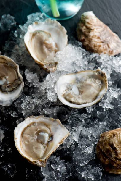 istock Oysters. Oysters on the half shell. Fresh oysters served with garlic, shallots, cocktail sauce, mignonette sauce and fresh lemons and limes. Classic American steakhouse or French bistro appetizer. 1296006492