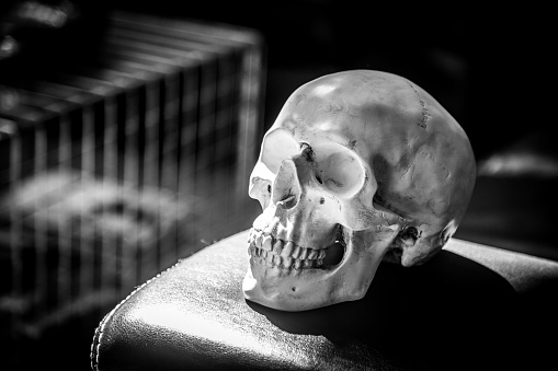 Realistic human skull model on black surface with white background in black and white.