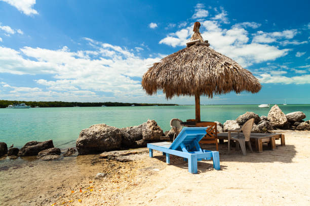 Florida Keys Relaxation Lounge chairs along the shore in the Florida Keys. key largo stock pictures, royalty-free photos & images