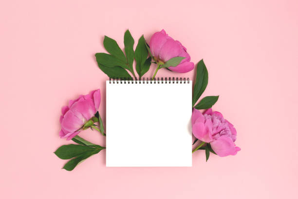 istock Square notepad mockup with bouquet of peony flowers 1296013263