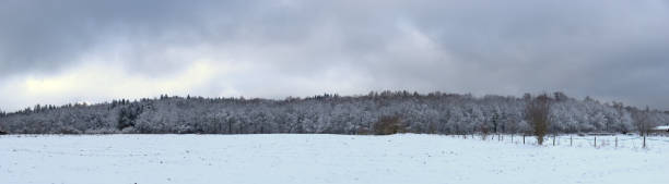 istock panoramic view of the plain and forest under the snow 1296016663