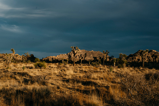 Sunset in the desert in early December with dramatic shadows