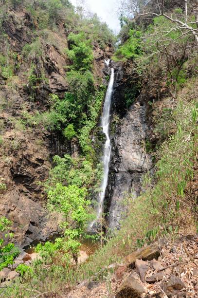 istock waterfall in the south indian jungle 1296018700