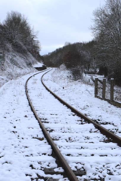 istock Railroad tracks under the snow in the open countryside 1296018868
