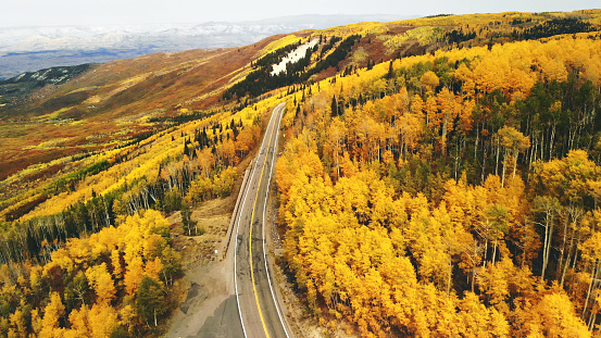 Autumn Color Change Grand Mesa National Forest Western Colorado Aerial View Photo Series Matching 4K Video Available (Shot with DJI Mavic Air 12mp 2160 × 3840 photos professionally retouched - Lightroom / Photoshop)