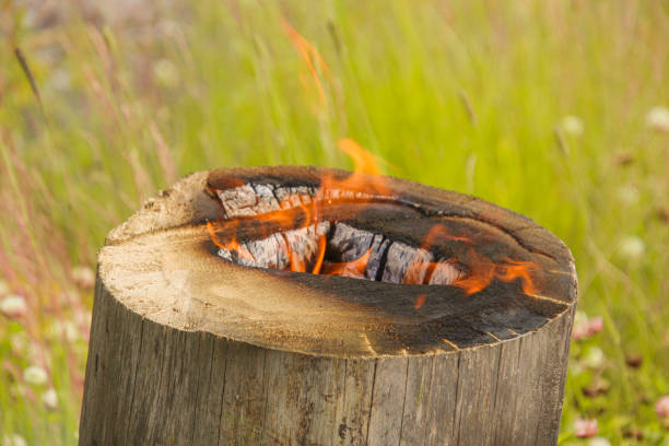fire burning on a tree stump stock photo