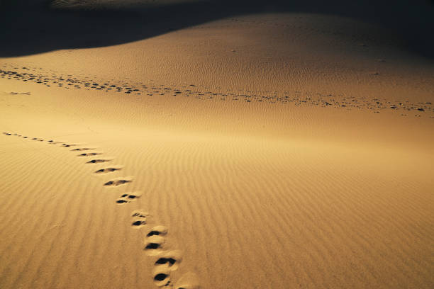 Sand dunes at Death Valley National ParkCalifornia