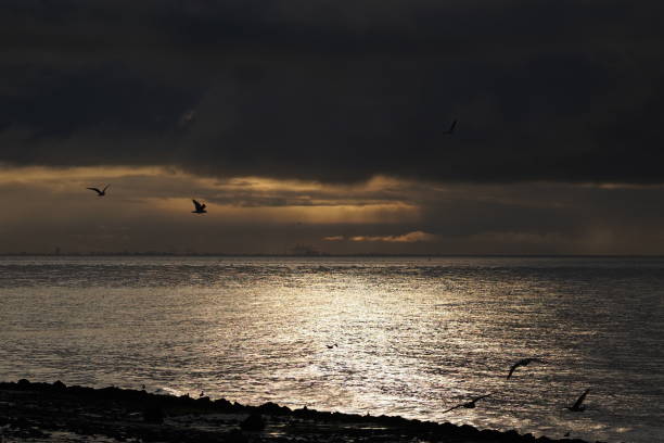 istock Seascape with flying seagulls 1296028667