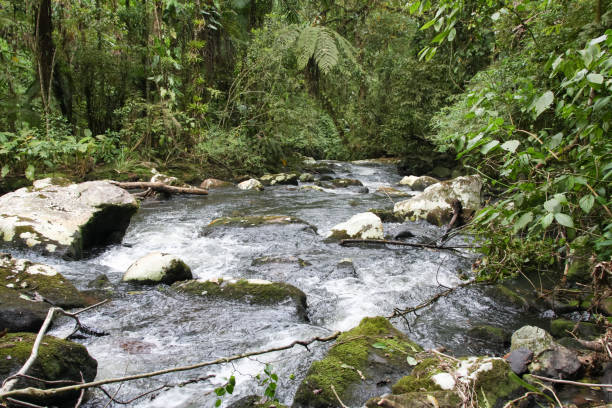 istock Creek over rock and plants. 1296029931