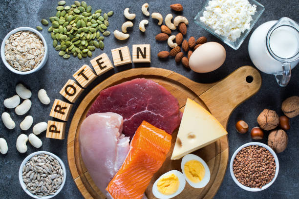 Composition with high protein food. High protein food as meat, fish, dairy, eggs, buckwheat, oatmeal, nuts, bean, pumpkin seed and sunflower seed. Top view. creation stock pictures, royalty-free photos & images