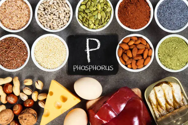 Organic phosphorus sources. Foods highest in phosphorus.