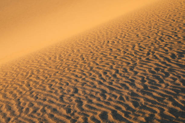 istock Sand dunes at Death Valley 1296032215