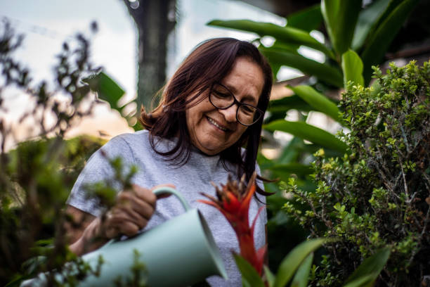 Elderly senior woman taking care of the garden Elderly, senior, woman, taking, care, garden elder plant stock pictures, royalty-free photos & images