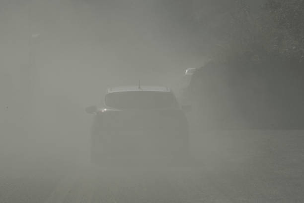 istock summer heat in the car 1296033499