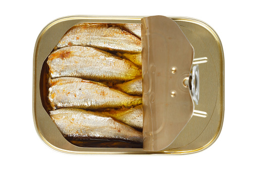 Tin of sardines isolated on a white background