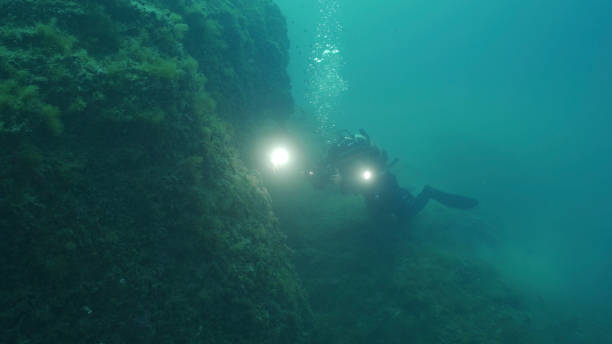 istock Scuba diver carrying underwater camera explores reefs 1296035263