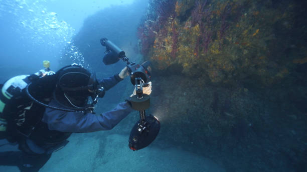istock Scuba diver carrying underwater camera explores reefs 1296035547