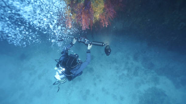istock Scuba diver carrying underwater camera explores reefs 1296035551