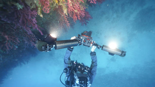 istock Scuba diver carrying underwater camera explores reefs 1296035745