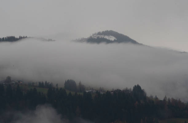 fog in a winter landscape with trees and white snow