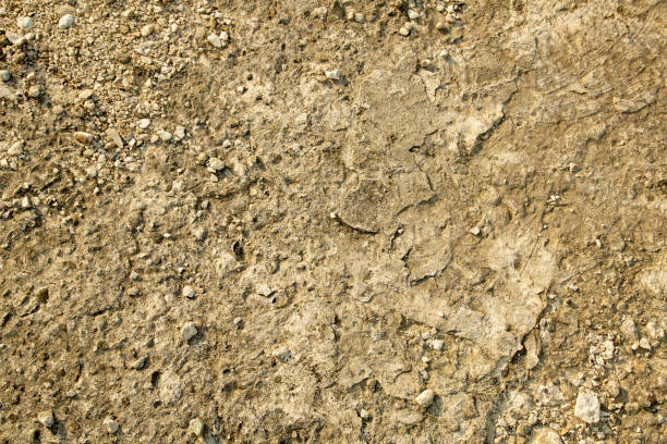 istock Various textures and textures of stone. Background is a stone texture. Beige old wall. Cracked wall, crumbling. 1296037816