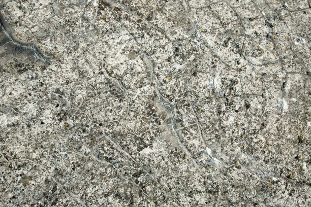 istock Various textures and textures of stone. Background is a stone texture. Beige old wall. Cracked wall, crumbling. 1296037881