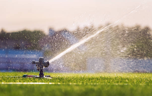 istock Automatic lawn sprinkler watering green grass on a stadium. 1296038205