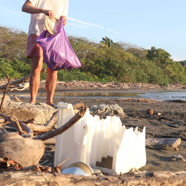 istock Woman picks up garbage on sandy beach in the morning 1296042748