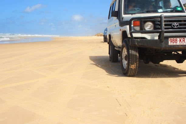 A 4x4 driving along the shore of a beach where seagulls are flying towards it. Daylight and a sense of freedom and speed invade the scene.