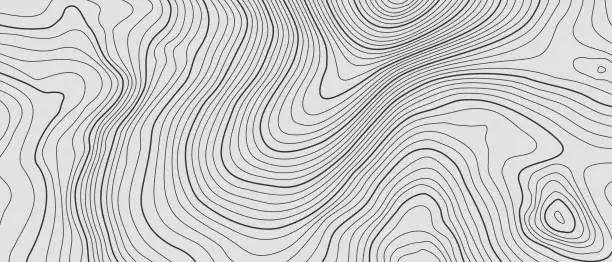 Vector illustration of The stylized height of the topographic contour in lines and contours.