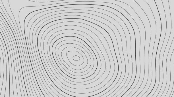 istock The stylized height of the topographic contour in lines and contours. 1296048272