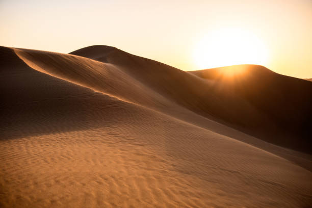 istock Desert Sand Dunes at Sunset 1296048734
