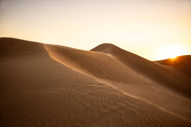 istock Desert Sand Dunes at Sunset 1296048747