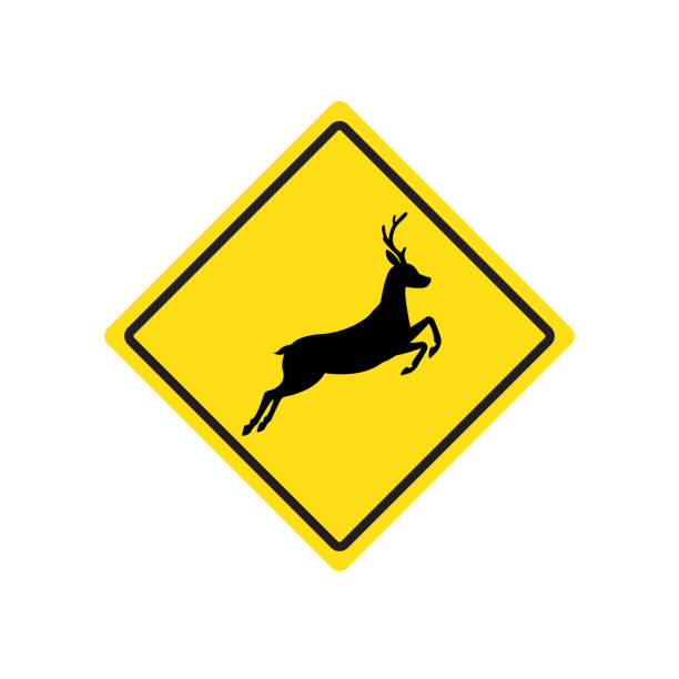 istock Vector black deer silhouette on yellow rhombus. Attention road sign 1296054410