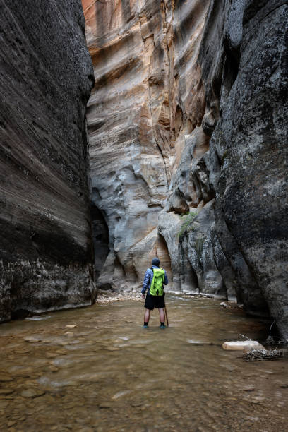 istock Man With Green Backpack Looks Into The Narrows 1296054554