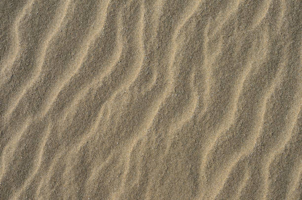 istock The texture of a sandy surface with natural waves formed by the winds. Background. 1296055414