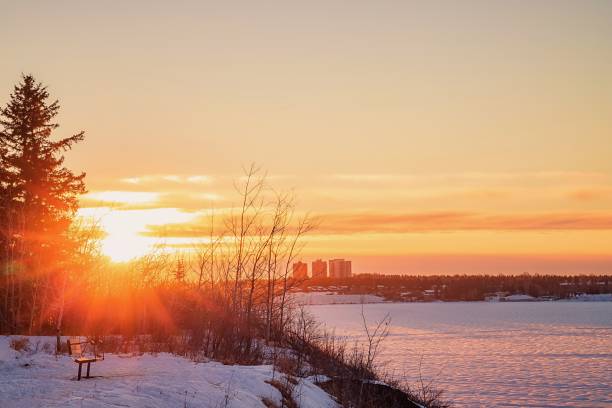 istock Bright Sunrise Shining Over A Winter Park 1296058289