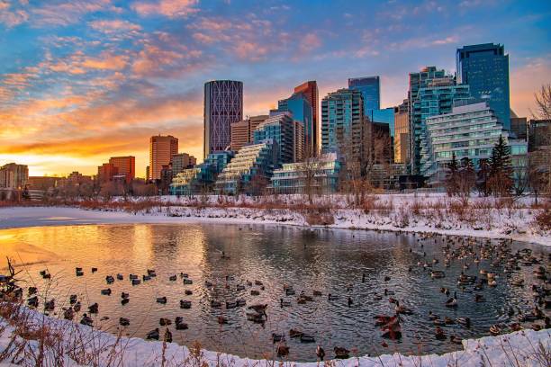 istock Colorful Sunrise Over A Downtown Calgary Winter Park 1296059246
