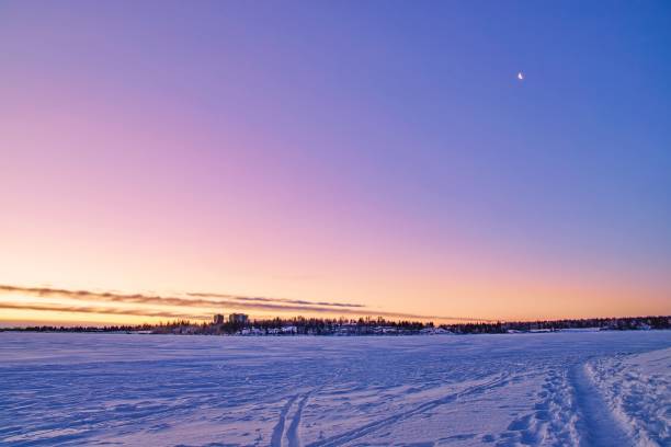 istock Bright Sunrise Over A Winter Park 1296059345